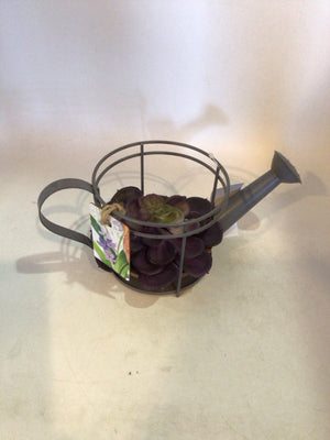 Gray/Purple Succulent Watering Can Faux Plant