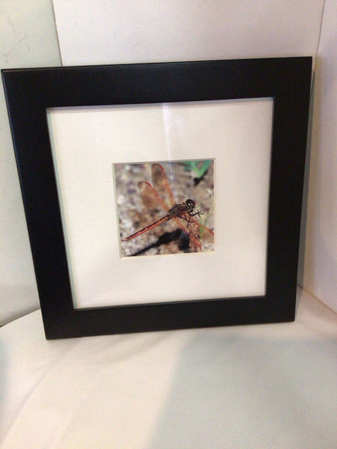 White/Multi Framed Art