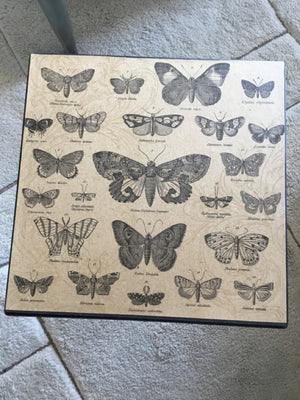 Botanical Metal Butterflies Tan/Black Table