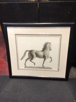 Black/White Horse Framed Art