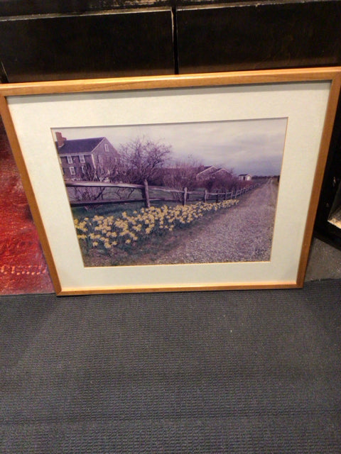 Brown/Yellow Road Flowers Framed Art