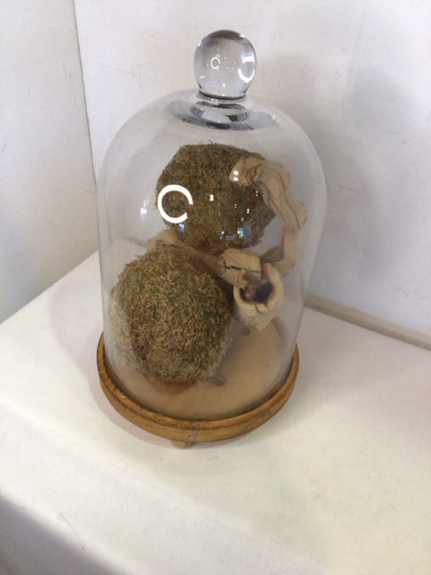 Clear/Green Glass Cloche