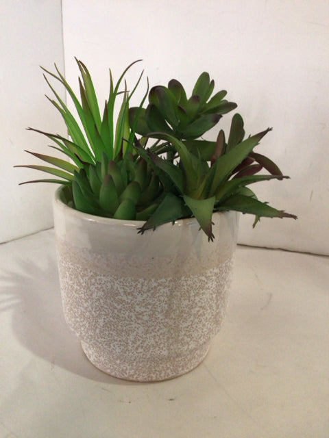 Green Plastic Succulent Faux Plant