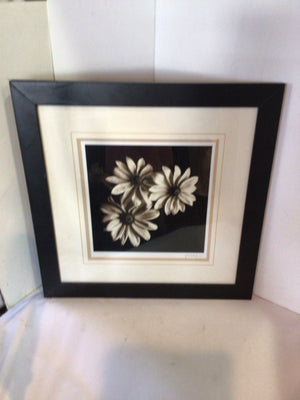 Signed White/Black Flowers Framed Art