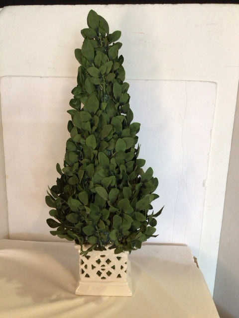 Green Cone Topiary