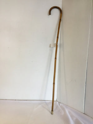 Brown Bamboo Cane