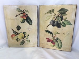 Signed Pair Fruit Multi-Color Wall Decoration