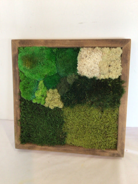 Mossy Green Wall Decoration Art