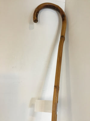 Brown Bamboo Cane