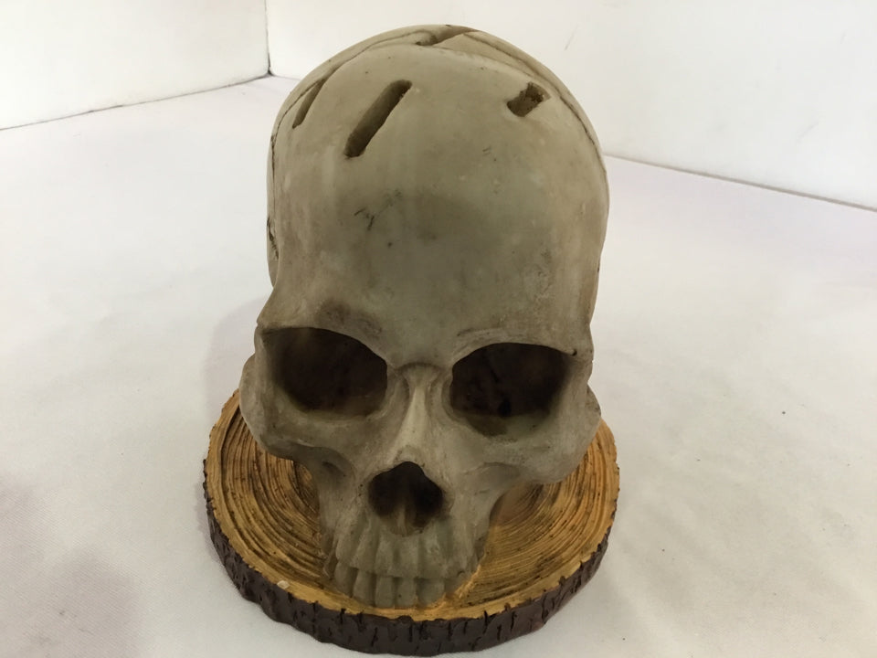 Halloween Gray Resin Skull Holiday Item