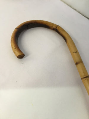 Brown Bamboo Cane
