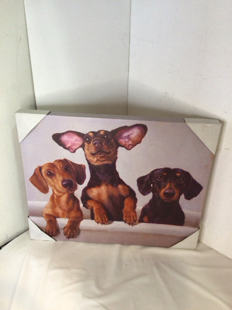 White/Brown Dog Stretch Canvas Art