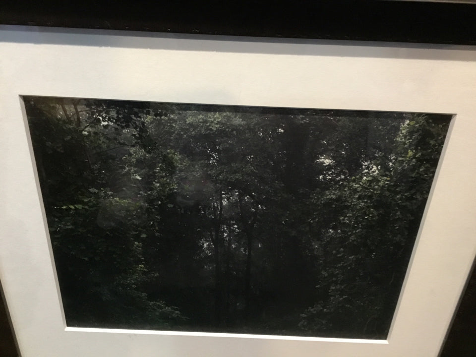 Print Green/Black Trees Framed Art