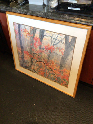 Red/Gray Forest Autumn Framed Art