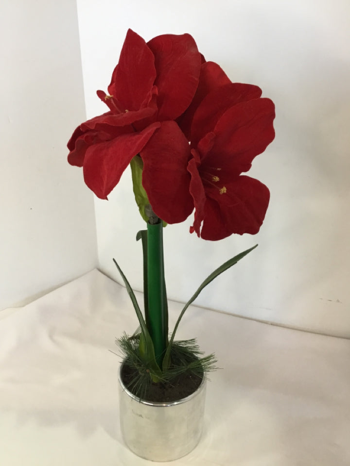 Red Amaryllis Holiday Item