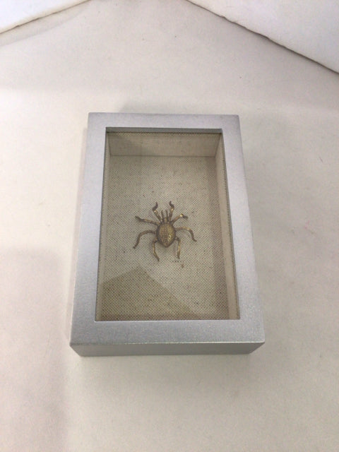 Gold/Silver Wood/Metal Bug Shadow Box