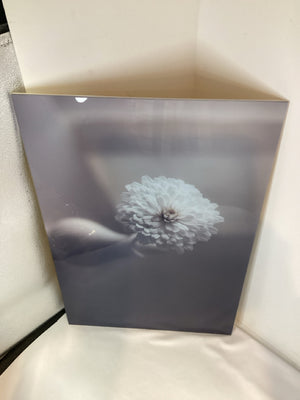 Acrylic Flower Photograph White Wall Decoration Art