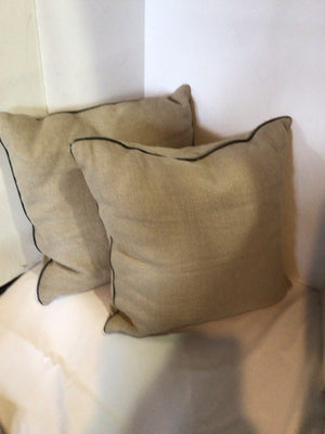 Pottery Barn Pair Tan Lined Down Filled Pillow Set