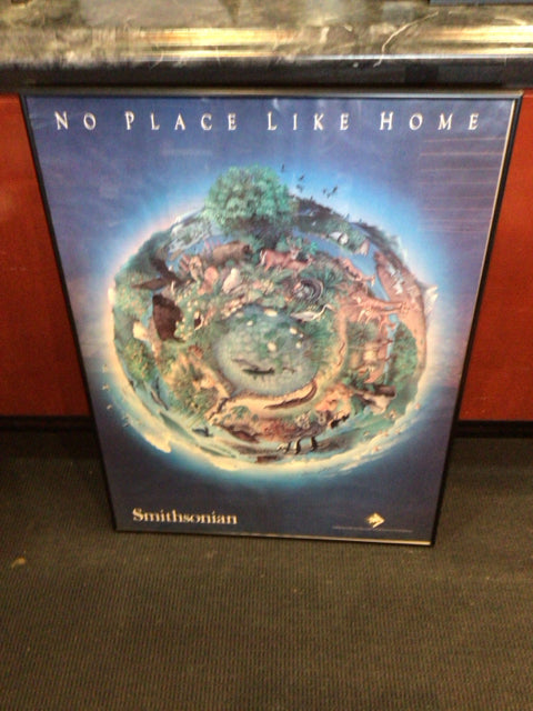 Smithsonian Blue/Black Framed Art