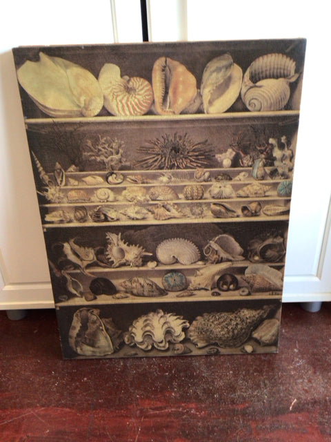 Annie James Rustic Brown Floral Stretch Canvas Art