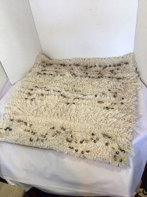 Pottery Barn Cream Sequin Pillow Cover