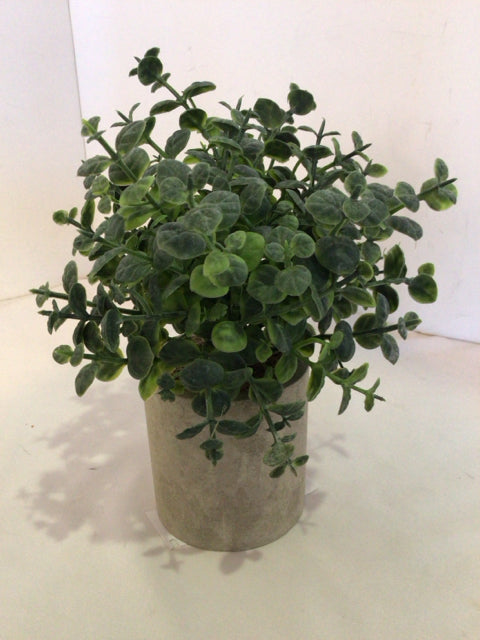 Green/Gray In Planter Faux Plant