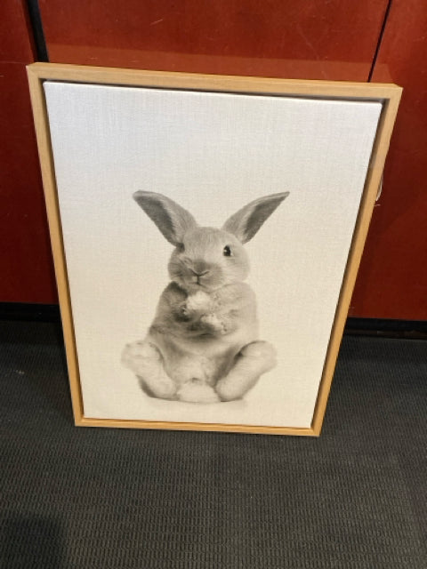 Black/White Canvas Bunny Framed Art