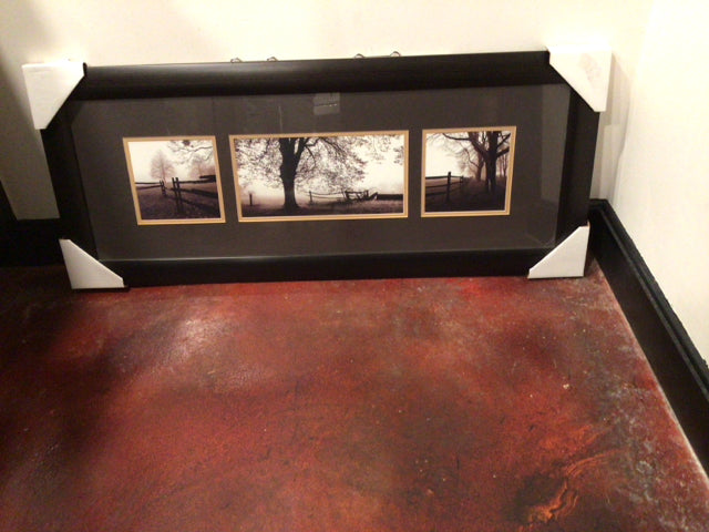 Black/White Field Tree Framed Art