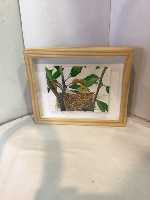 Green/Brown Bird's Nest Bird Framed Art
