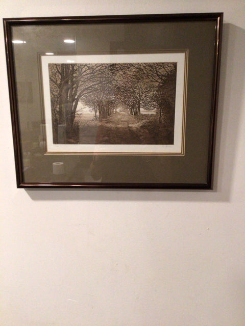 Signed Print Brown/White Trees Framed Art