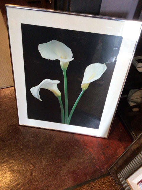 Black/White Floral Framed Art
