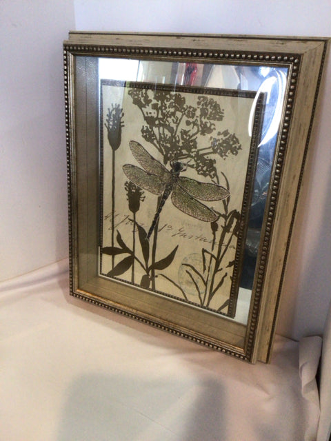 Signed Cream/Brown Shadowbox Dragonfly Framed Art