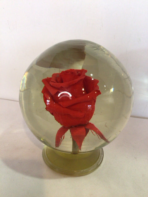 Round Clear Glass Rose Globe