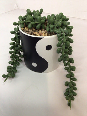 Green/Black Ceramic In Planter Faux Plant