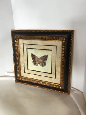 Matted Brown/Tan Tiger Insect Framed Art