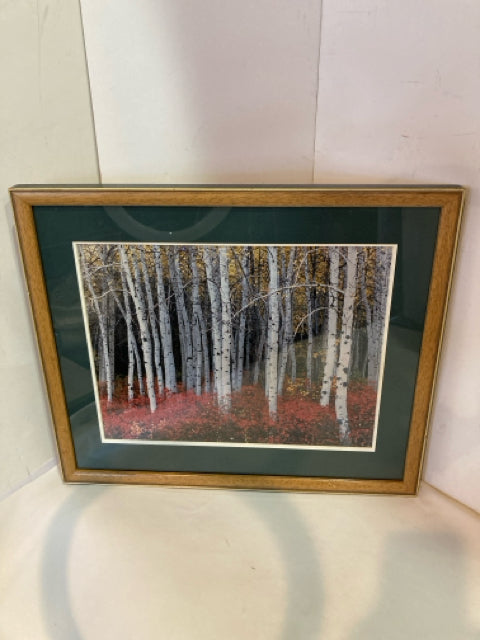 Red/white Birch Woods Framed Art