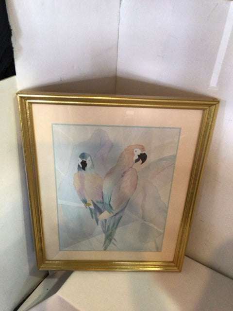 Pink/Blue Parrot Framed Art