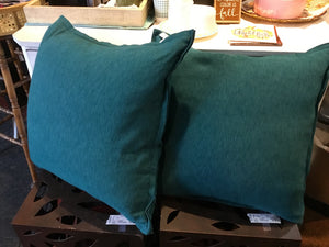 Pair Aqua Down Pillow Set