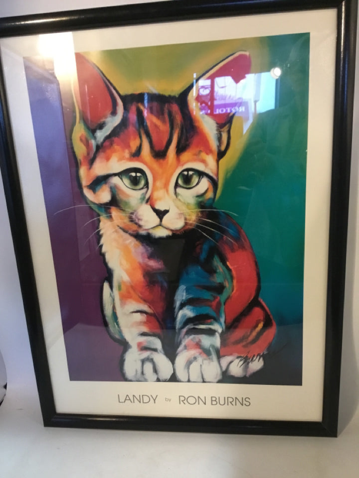 Multi-Color Poster Kitten Framed Art