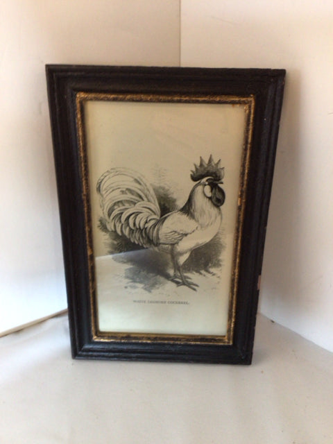Vintage Lithograph Black/White Rooster Framed Art