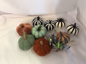 Fall Multi-Color Pumpkin In Bag Holiday Item