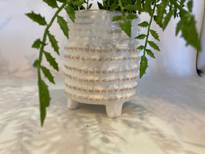Potted Green & White Fern Faux Plant
