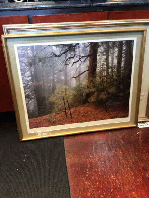 Signed Green/Brown Forest Framed Art