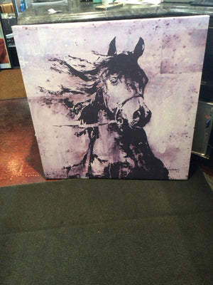 Black/White Horse Stretch Canvas Art