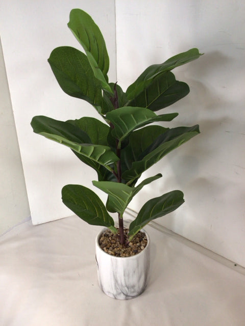 Green/White Faux Plant