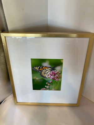 Green/multi Butterfly Framed Art