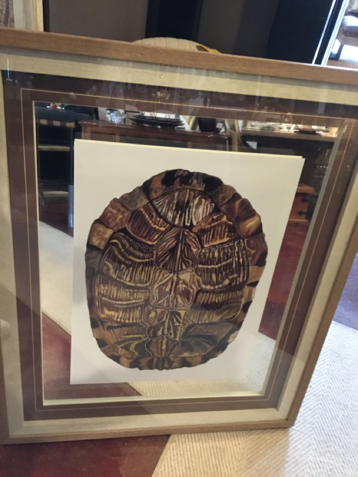 Print Brown/White Tortoise Shell Framed Art