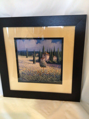 Signed Tuscan Multi-Color Poppies Framed Art