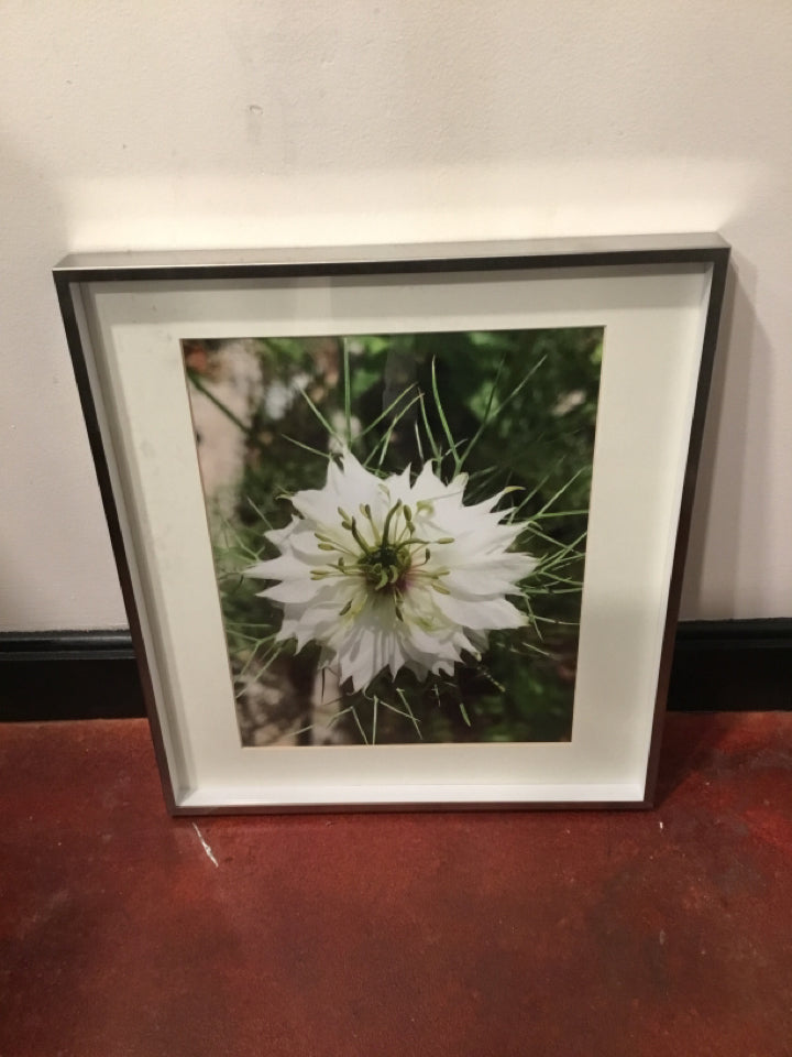 Crate & Barrel Green/White Flower Framed Art