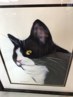 Signed Black/White Cat Framed Art